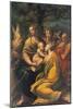 Madonna with Child and Sts. Augustine, Jerome, Margaret and an Angel-Parmigianino-Mounted Giclee Print