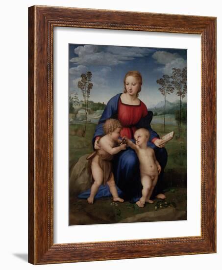 Madonna with Child and the Infant John the Baptist (Madonna of Goldfinch)-Sanzio Raffaello-Framed Giclee Print