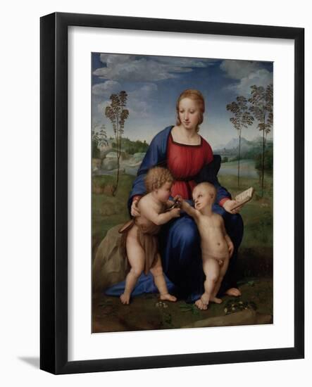 Madonna with Child, & Infant John the Baptist (Madonna of Goldfinch)-Raphael-Framed Art Print