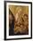 Madonna with Child-Neri of Bicci-Framed Giclee Print