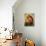 Madonna-Raphael-Art Print displayed on a wall