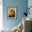 Madonna-Raphael-Framed Art Print displayed on a wall