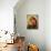 Madonna-Raphael-Mounted Art Print displayed on a wall