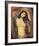 Madonna-Edvard Munch-Framed Art Print