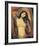 Madonna-Edvard Munch-Framed Art Print