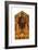 Maesta of Santa Trinita, C. 1280-Giovanni Cimabue-Framed Giclee Print