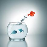 A Fishbowl With A Red Fish Jumping Out Of The Water-magann-Photographic Print