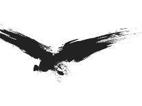 An Image Of A Grunge Black Bird-magann-Art Print