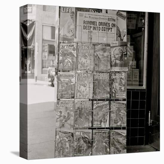 Stretched Canvas Print, , large
