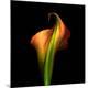 Premium Photographic Print