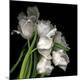 Premium Photographic Print