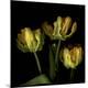 Photographic Print