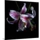 Premium Photographic Print