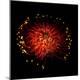 Premium Photographic Print
