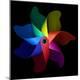 Premium Photographic Print