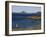 Magellan Goose (Chloephaga Picta), Ushuaia, Tierra Del Fuego, Argentina, South America-Thorsten Milse-Framed Photographic Print