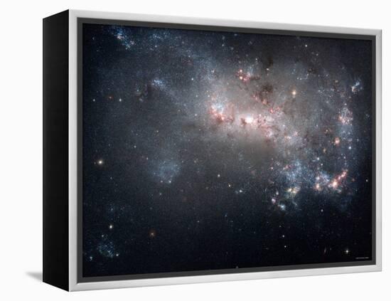 Magellanic Dwarf Irregular Galaxy NGC 4449 in the Constellation Canes Venatici-Stocktrek Images-Framed Premier Image Canvas