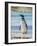 Magellanic Penguin at beach, Falkland Islands-Martin Zwick-Framed Photographic Print