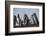 Magellanic penguins, Spheniscus magellanicus, on a water pond.-Sergio Pitamitz-Framed Photographic Print