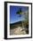 Magens Bay Beach at Sunset, St. Thomas, Us Virgin Islands, Caribbean-Walter Bibikow-Framed Photographic Print