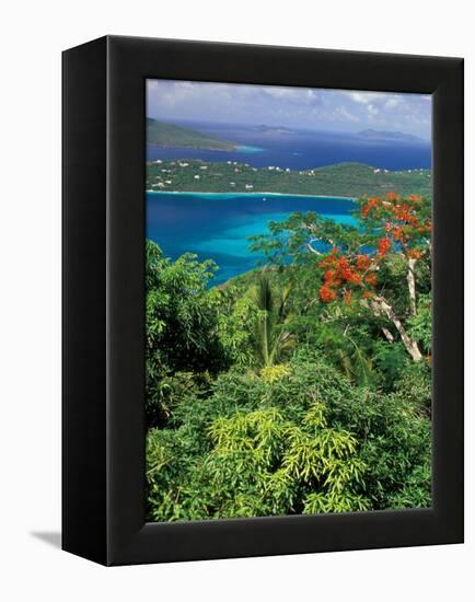 Magens Bay, St. Thomas, Caribbean-Robin Hill-Framed Premier Image Canvas