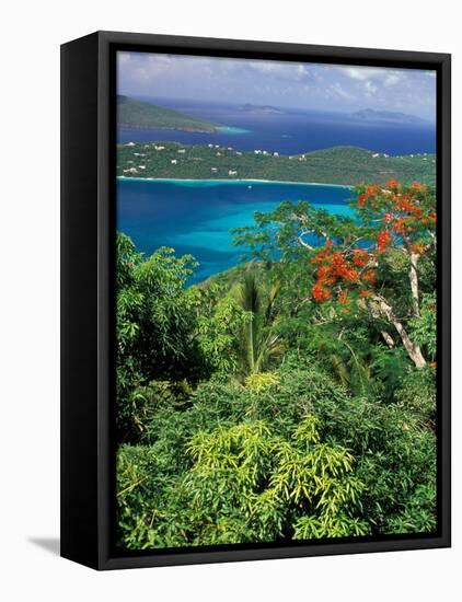 Magens Bay, St. Thomas, Caribbean-Robin Hill-Framed Premier Image Canvas