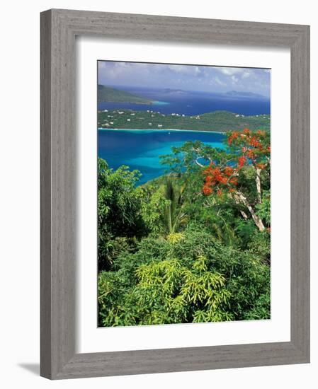 Magens Bay, St. Thomas, Caribbean-Robin Hill-Framed Photographic Print