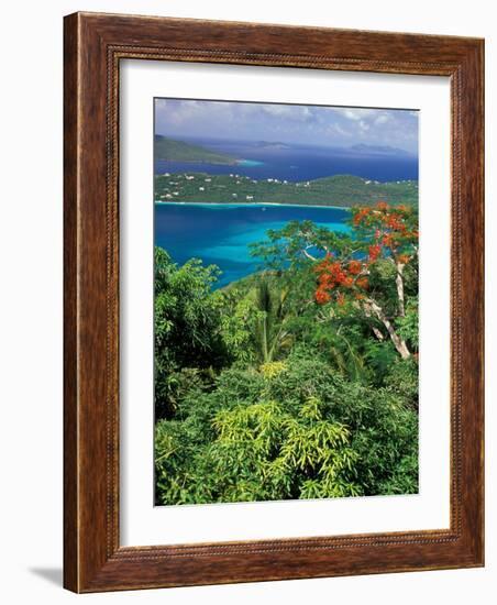 Magens Bay, St. Thomas, Caribbean-Robin Hill-Framed Photographic Print