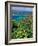 Magens Bay, St. Thomas, Caribbean-Robin Hill-Framed Photographic Print