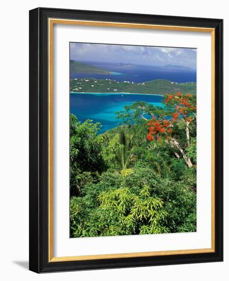 Magens Bay, St. Thomas, Caribbean-Robin Hill-Framed Photographic Print