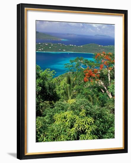 Magens Bay, St. Thomas, Caribbean-Robin Hill-Framed Photographic Print