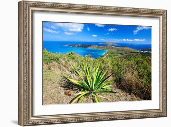 Magens Bay View, St Thomas, USVI-George Oze-Framed Photographic Print