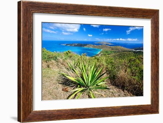 Magens Bay View, St Thomas, USVI-George Oze-Framed Photographic Print