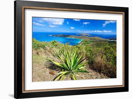 Magens Bay View, St Thomas, USVI-George Oze-Framed Photographic Print