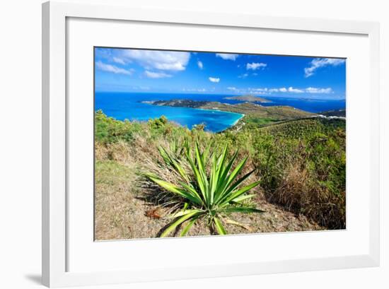 Magens Bay View, St Thomas, USVI-George Oze-Framed Photographic Print