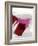 Magenta Abstract II-Sisa Jasper-Framed Art Print