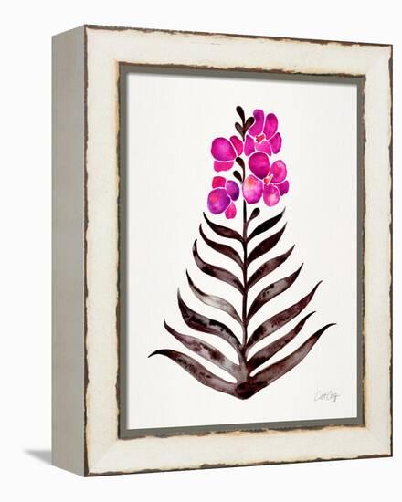 Magenta Black Orchid Bloom-Cat Coquillette-Framed Premier Image Canvas