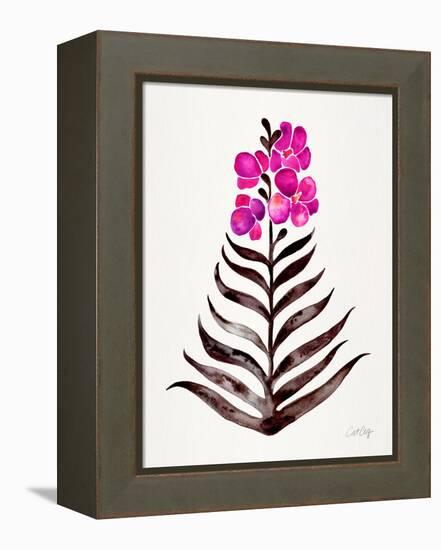 Magenta Black Orchid Bloom-Cat Coquillette-Framed Premier Image Canvas