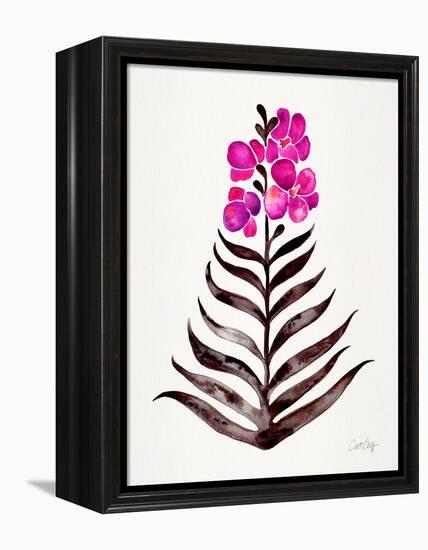 Magenta Black Orchid Bloom-Cat Coquillette-Framed Premier Image Canvas