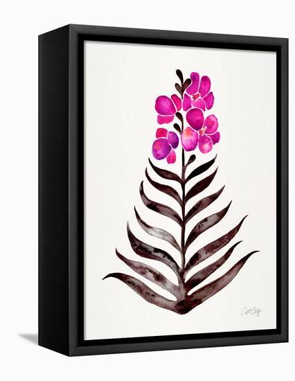 Magenta Black Orchid Bloom-Cat Coquillette-Framed Premier Image Canvas