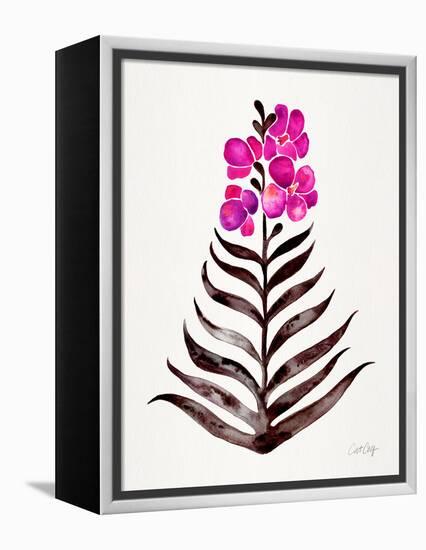 Magenta Black Orchid Bloom-Cat Coquillette-Framed Premier Image Canvas