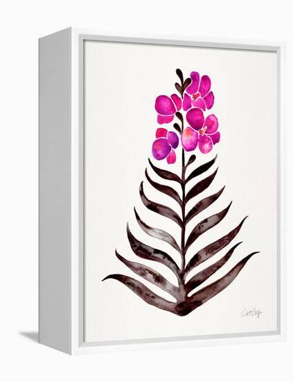 Magenta Black Orchid Bloom-Cat Coquillette-Framed Premier Image Canvas