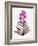 Magenta Black Orchid Bloom-Cat Coquillette-Framed Giclee Print