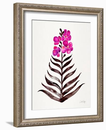 Magenta Black Orchid Bloom-Cat Coquillette-Framed Giclee Print