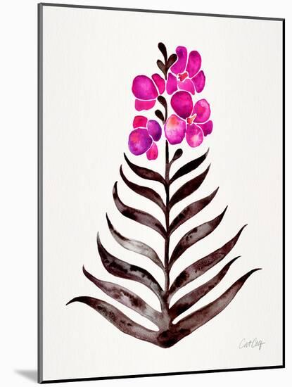 Magenta Black Orchid Bloom-Cat Coquillette-Mounted Giclee Print