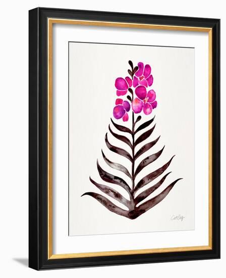 Magenta Black Orchid Bloom-Cat Coquillette-Framed Giclee Print