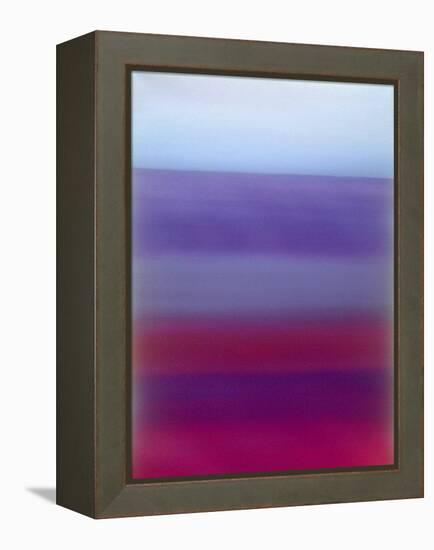 Magenta Blend-Ruth Palmer 2-Framed Stretched Canvas