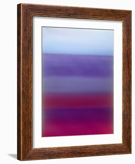 Magenta Blend-Ruth Palmer 2-Framed Art Print