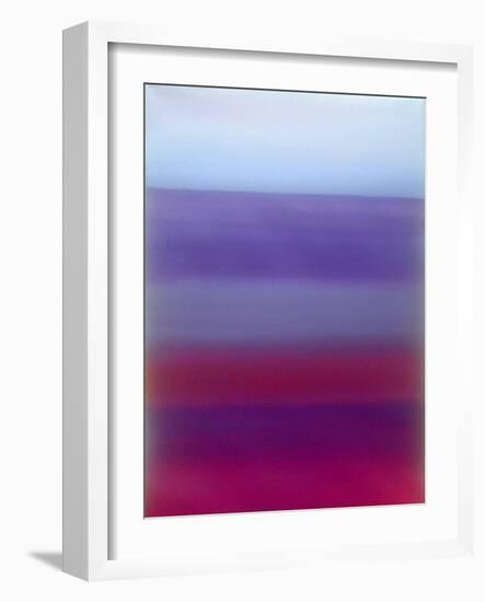 Magenta Blend-Ruth Palmer 2-Framed Art Print