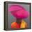 Magenta Hat, Saffron Jacket, 2014-Lincoln Seligman-Framed Premier Image Canvas